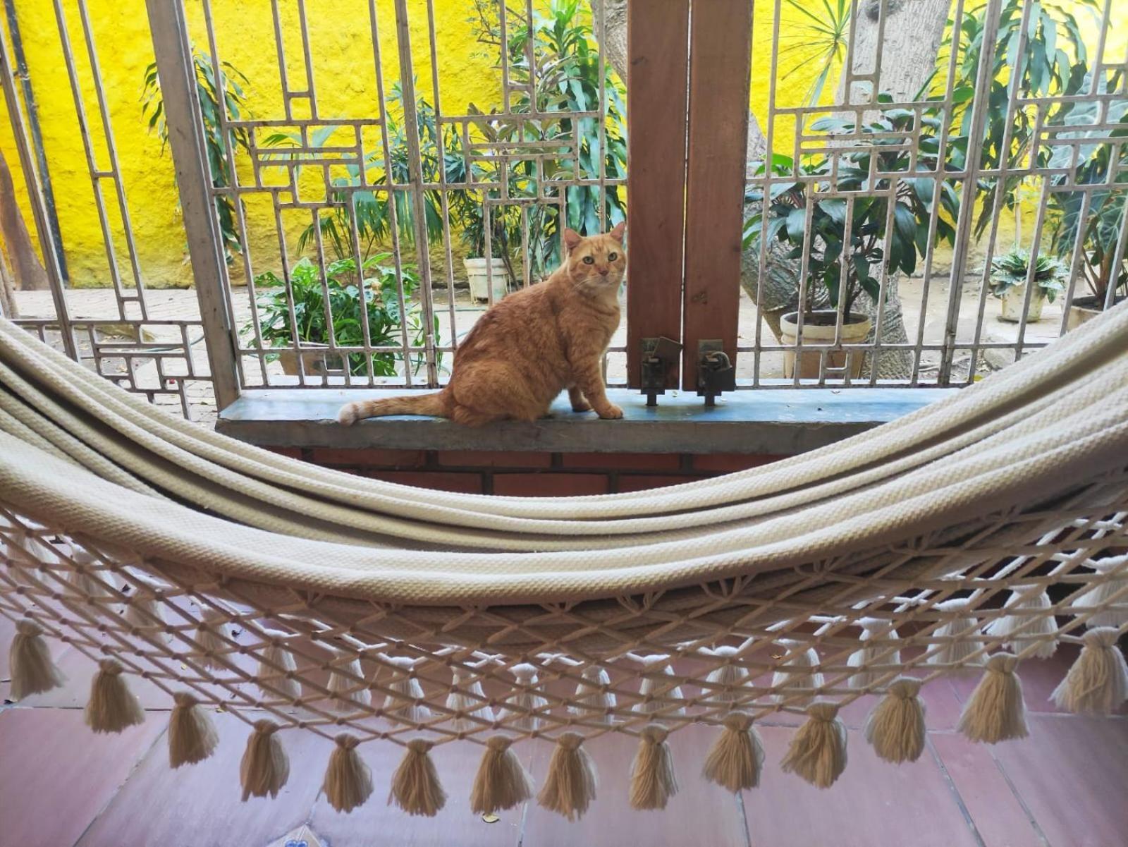 A Pocos Metros Del Mar Y Del Centro Historico Homestay *