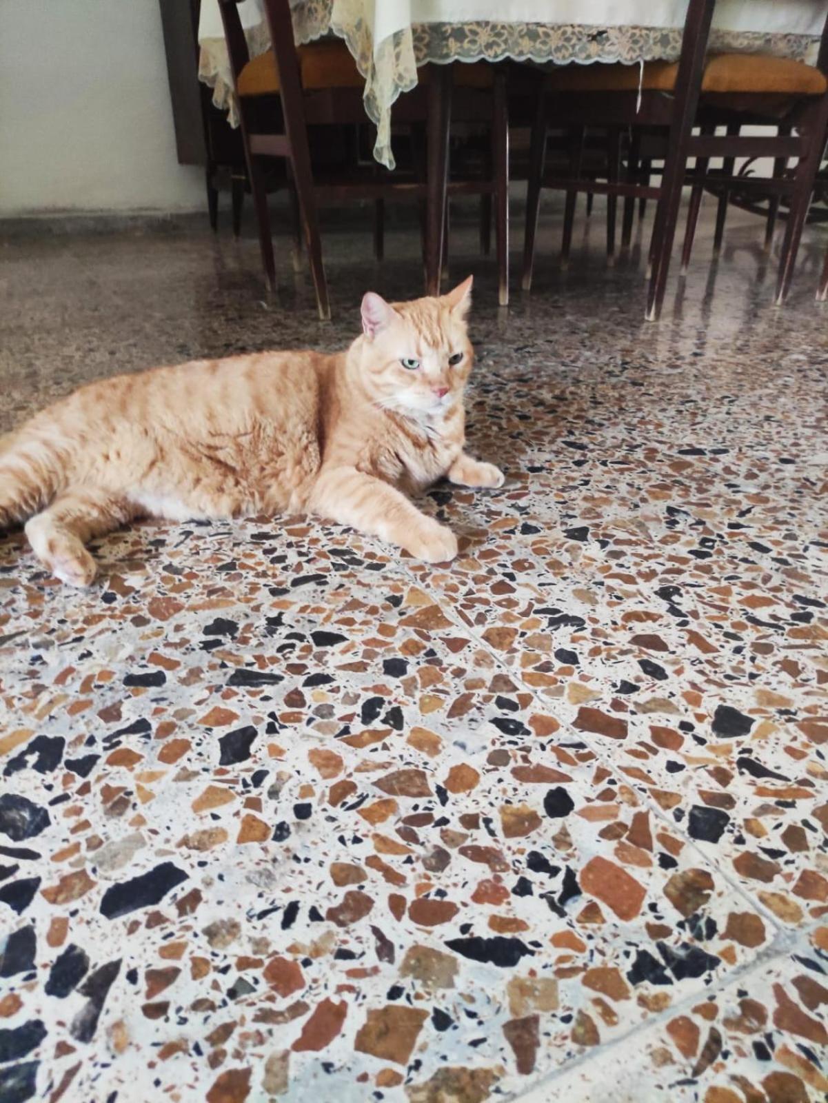 A Pocos Metros Del Mar Y Del Centro Historico Homestay Santa Marta (Magdalena)